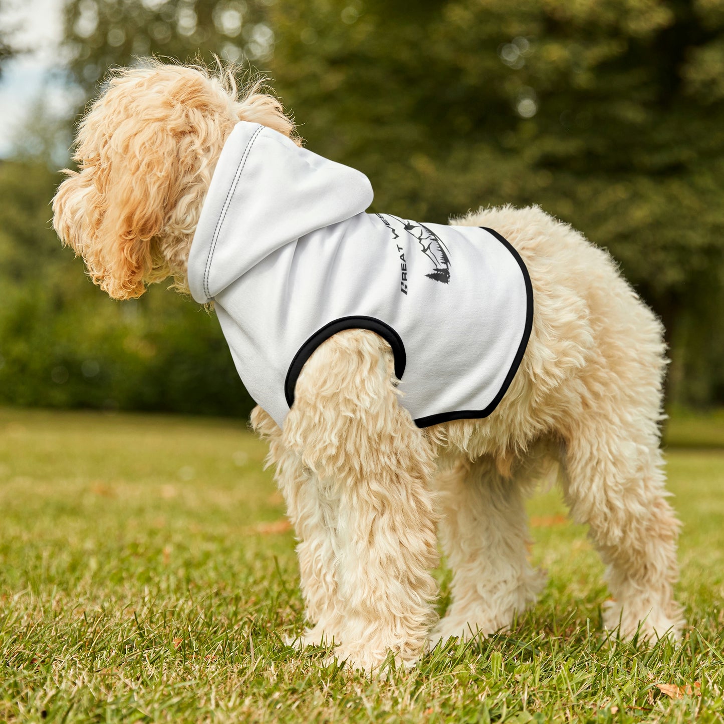Dog Hoodie