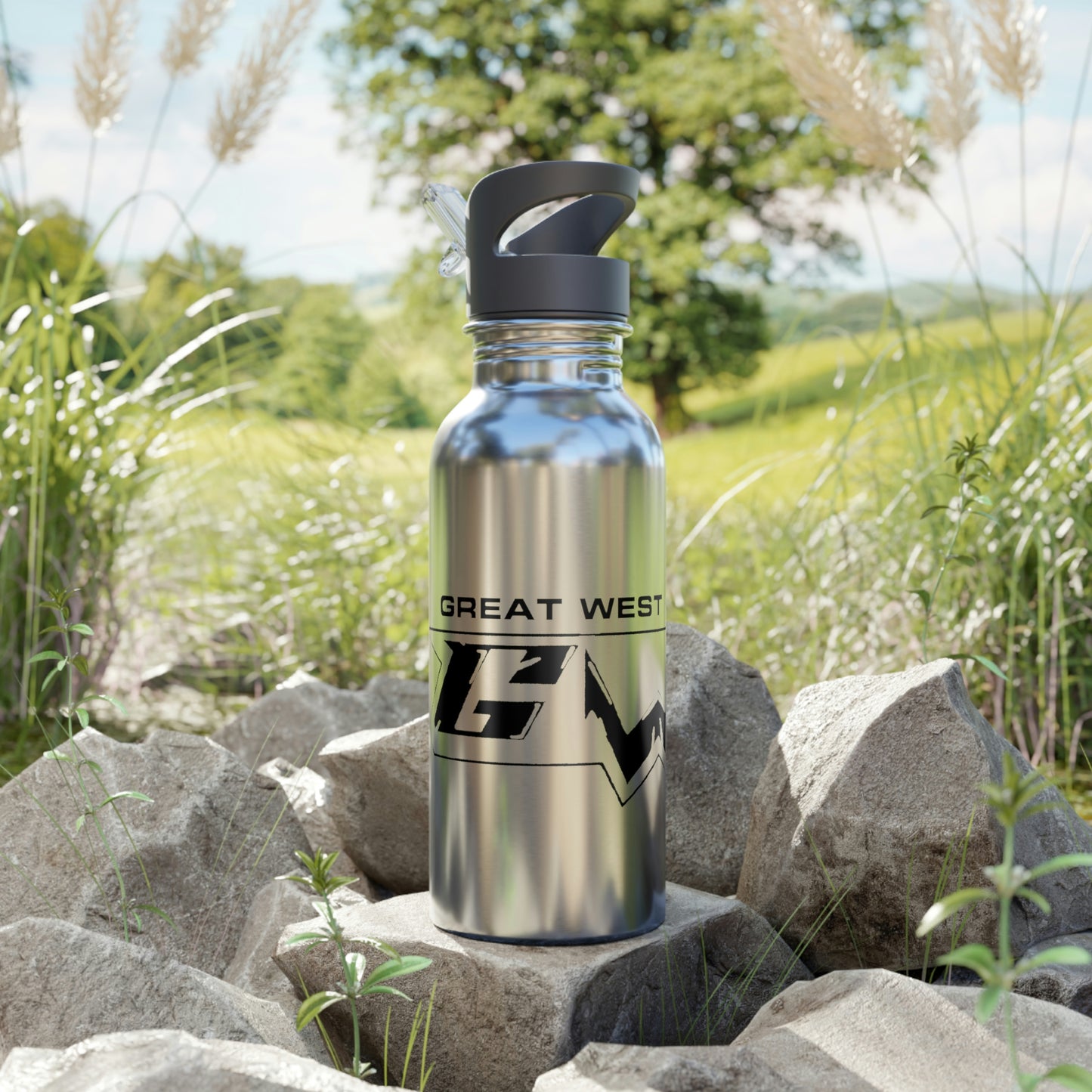 Stainless Steel Water Bottle With Straw, 20oz