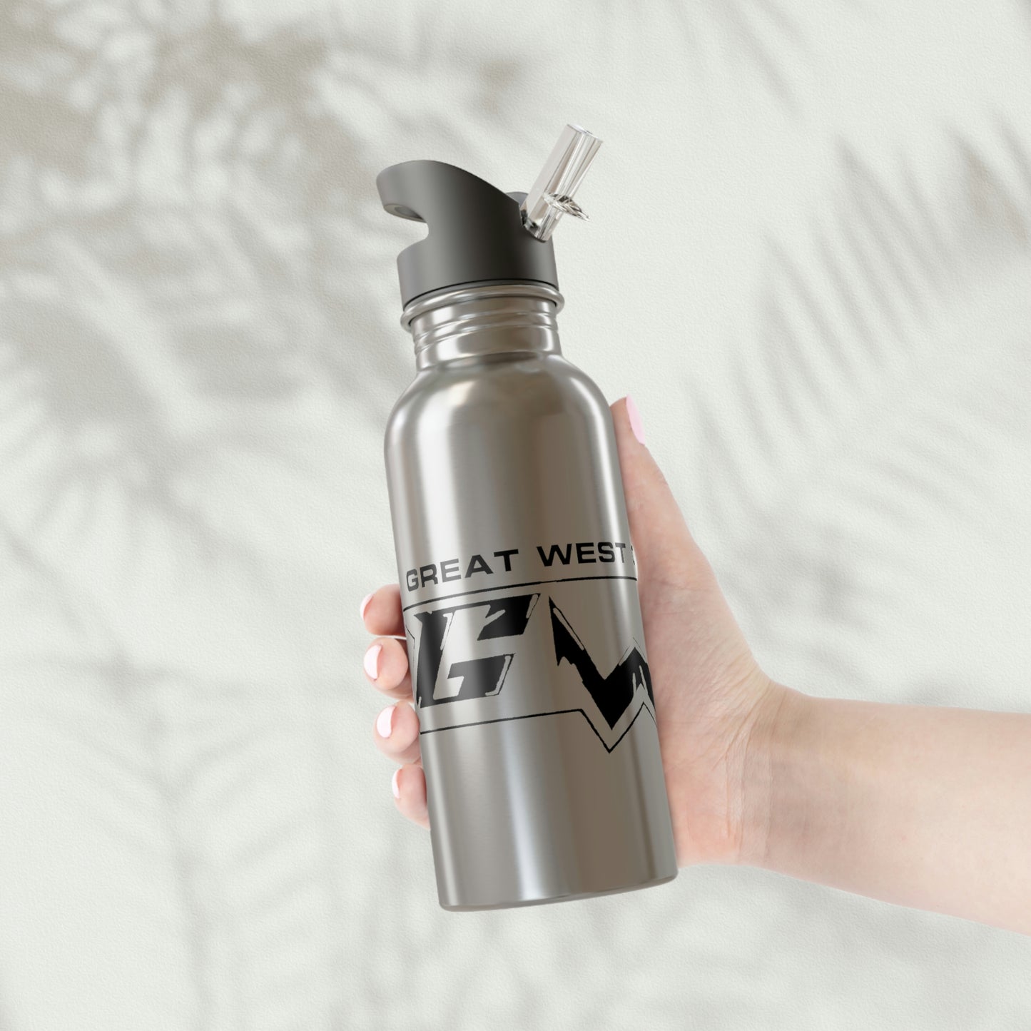 Stainless Steel Water Bottle With Straw, 20oz