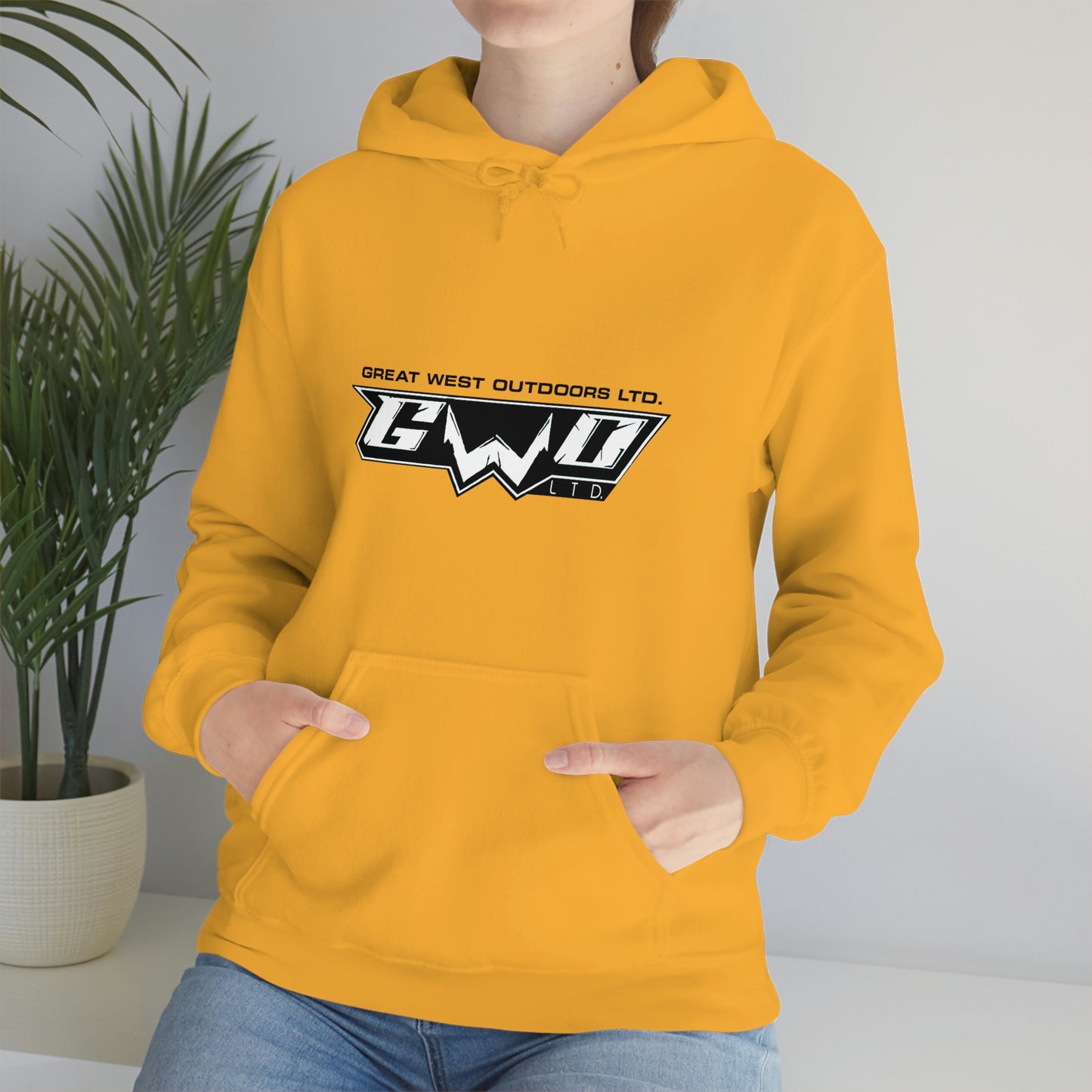 Unisex Heavy Blend™ Hooded Sweatshirt