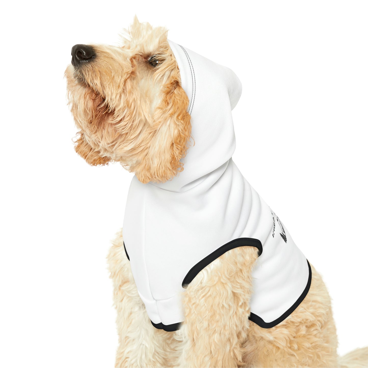 Dog Hoodie