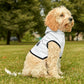 Dog Hoodie
