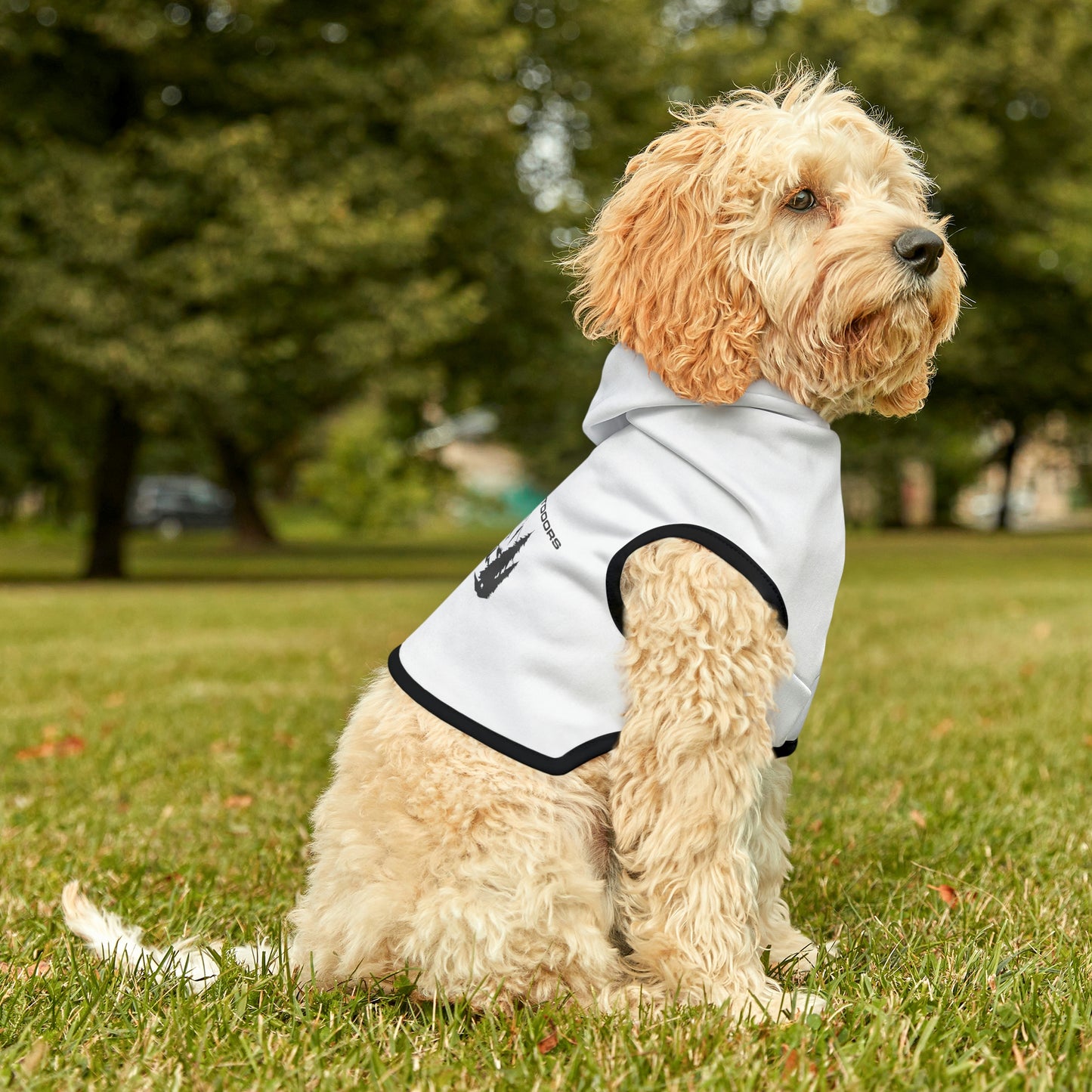Dog Hoodie